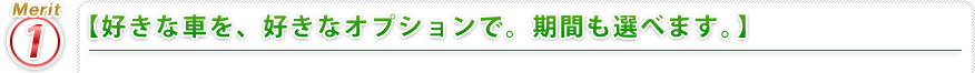 【好きな車を、好きなオプションで。期間も選べます。】